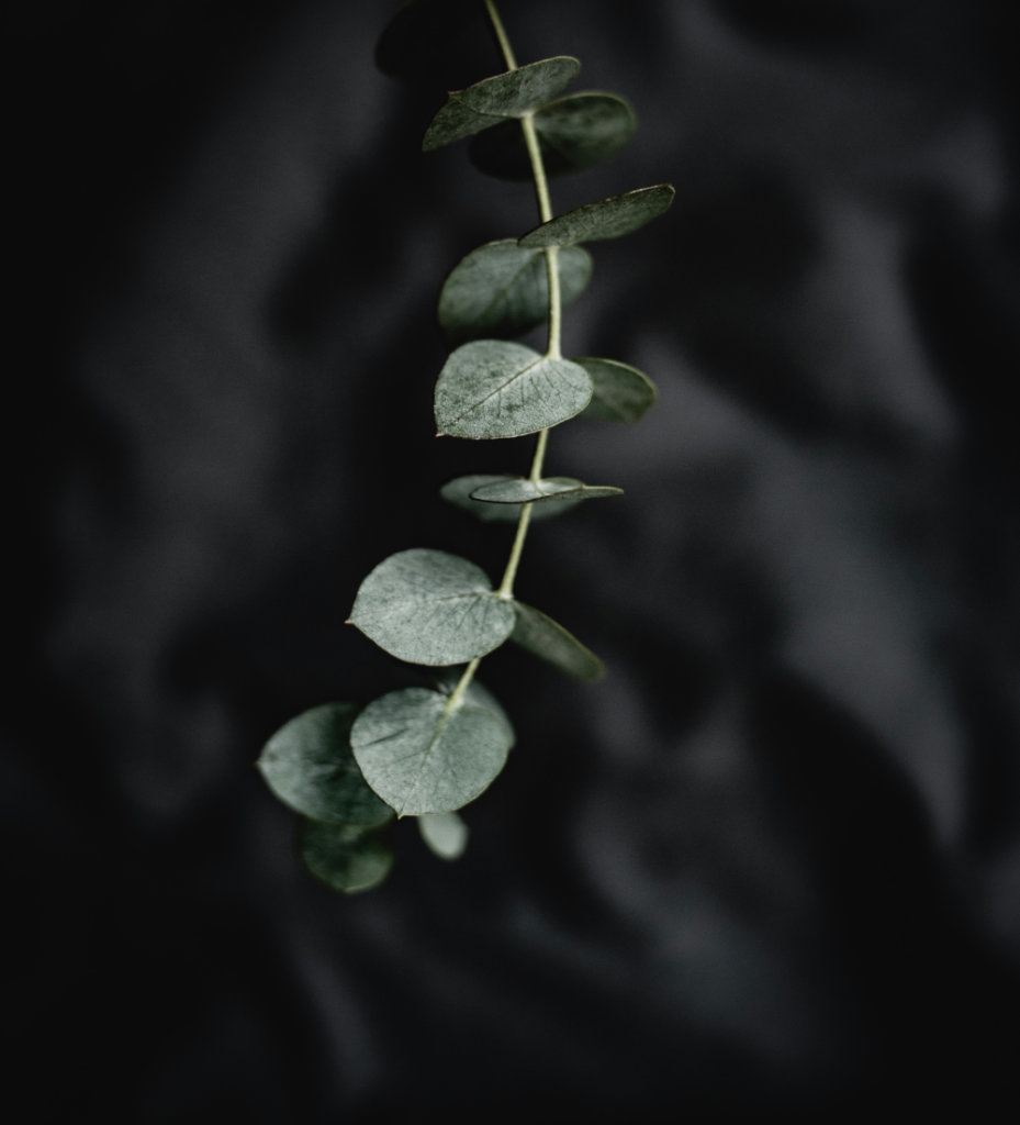 unsplash alt text