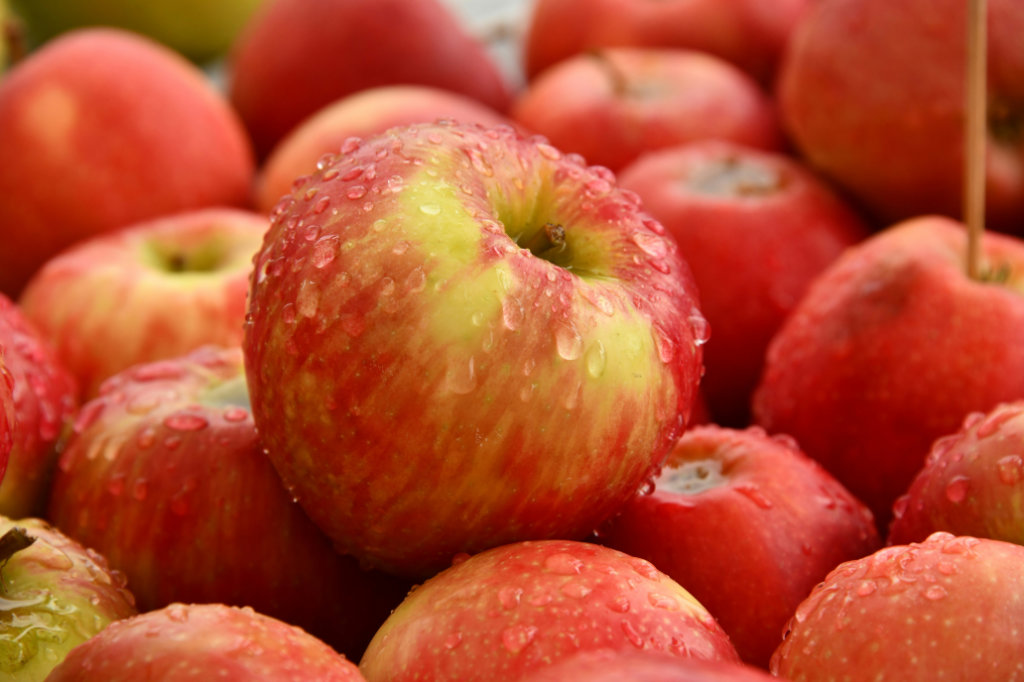 A Honeycrisp apple