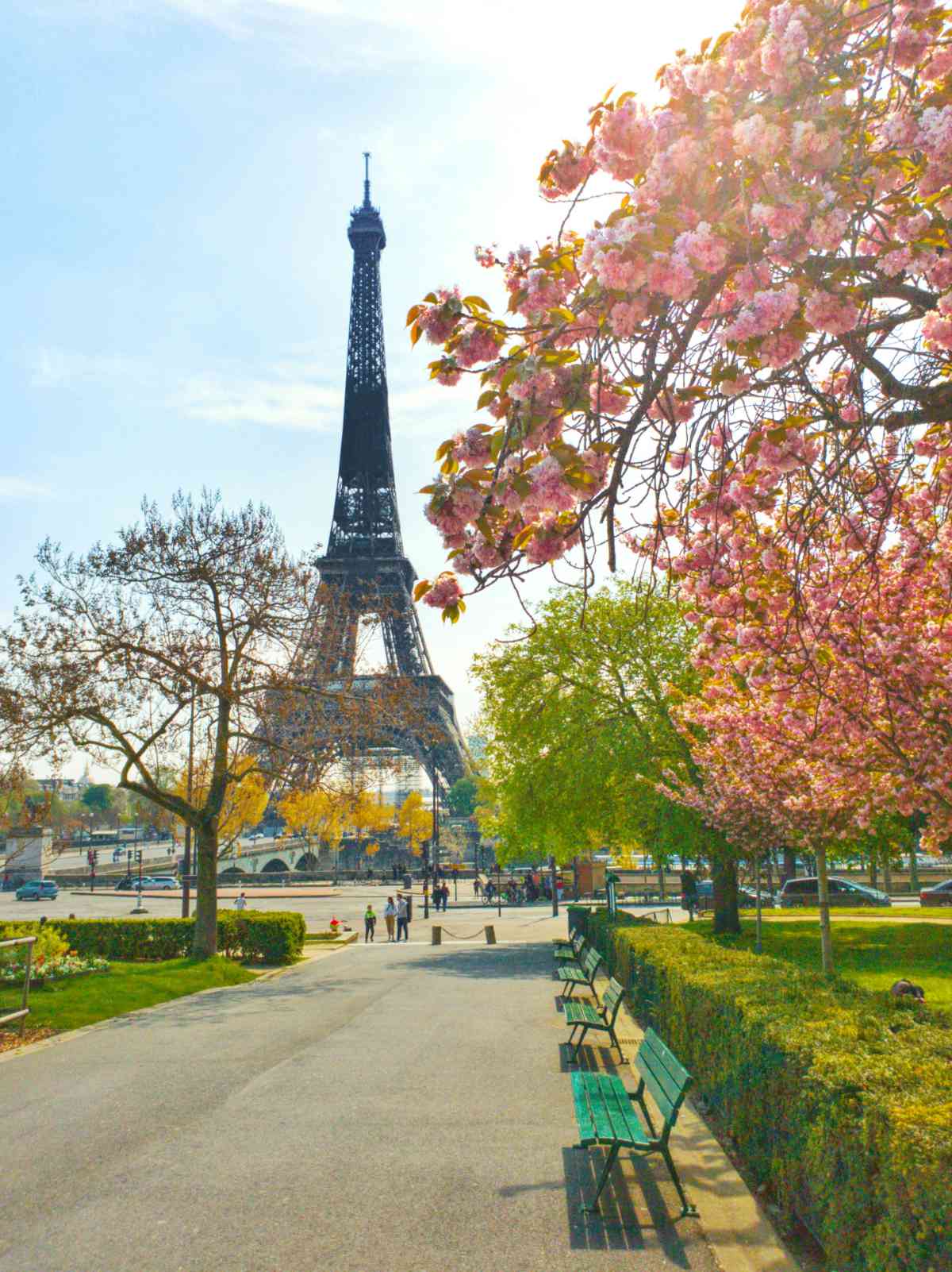 Eiffel tower on sunny day in the spring from a park bench.